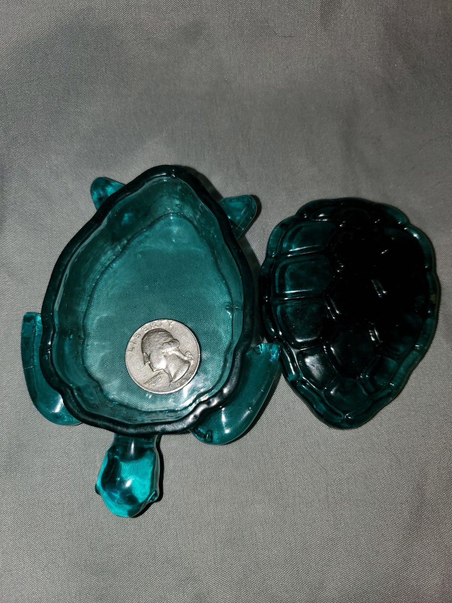 Turtle organizer, trinket holder.